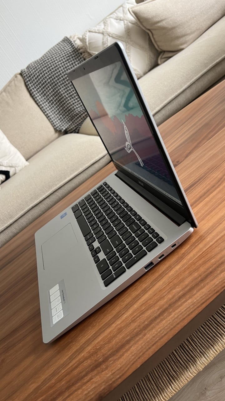 Acer Chromebook 315