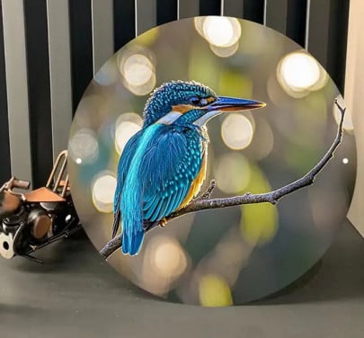 Ijsvogel #5 ( nieuw + op aluminium ) -- wanddecoratie
