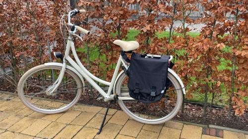 Batavus Diva 56 (28 inch)