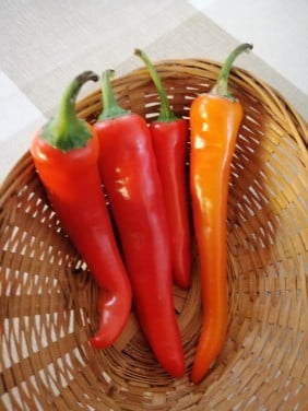 Peper's