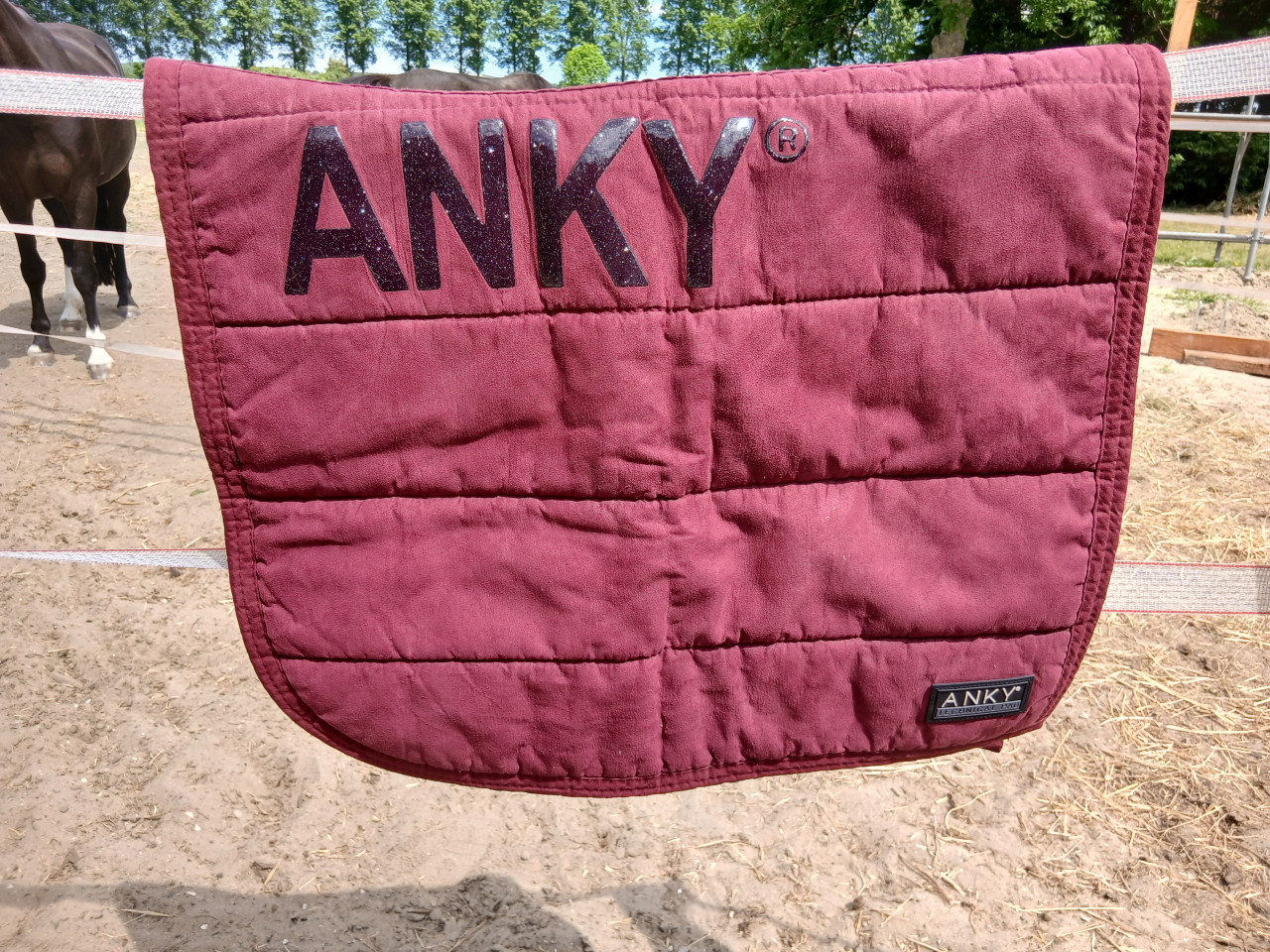 Anky dekje dressuur full