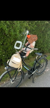 Mooie dames fiets met zitje