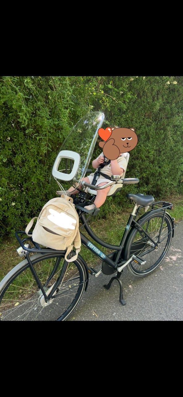 Mooie dames fiets met zitje