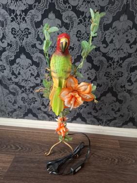 Papgegaai lamp