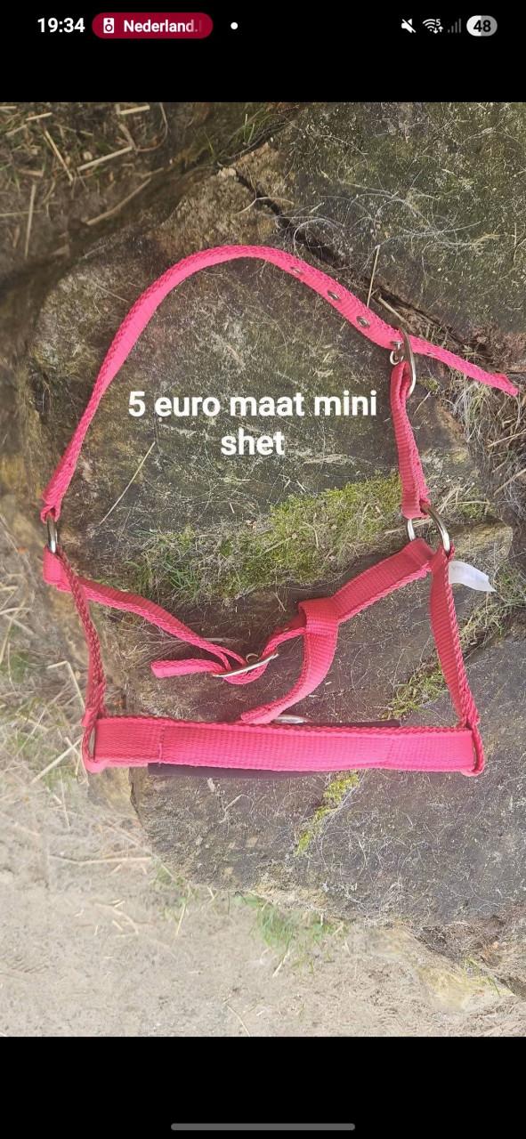 Diverse paarden spullen