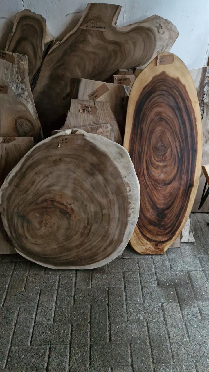 Boomstam wortel al onderstel eventueel ook met boomstam schijf