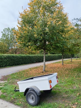 Aanhanger klein formaat