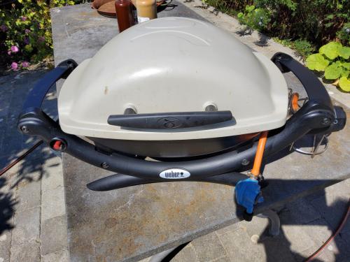 Weber gas BBQ
