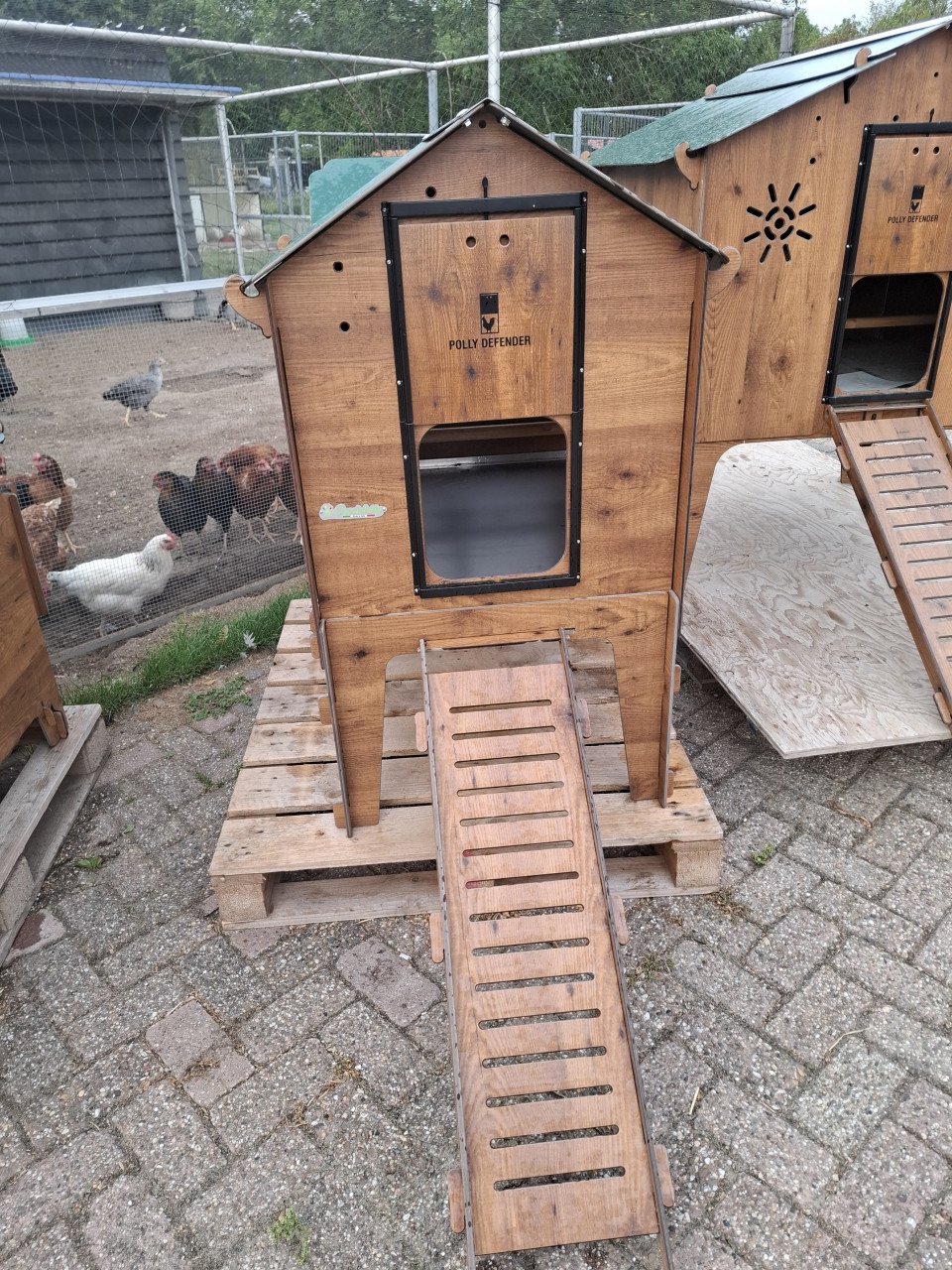20 % KORTING OP CUCCIOLOTTA KIPPENHOKKEN +REN