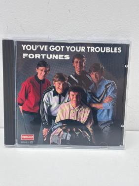 The Fortunes - You’ve Got Your Troubles