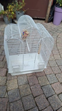 VOGELKOOI