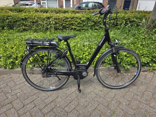 Keurig nette Pegasus met Bosch middenmotor