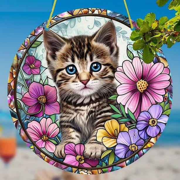 Raamhanger kitten