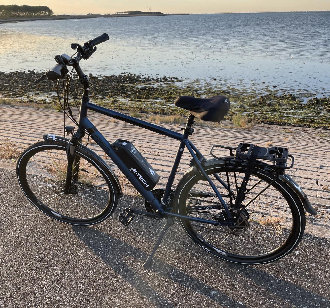 Custom Pegasus e-bike 45kmh