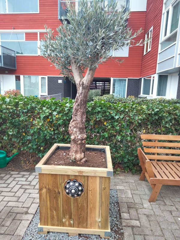 Zeeuwse knop bloembakken projecten ter inspiraties L85 x B85 x H75