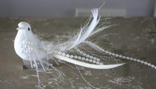 Witte vogel op knijper
