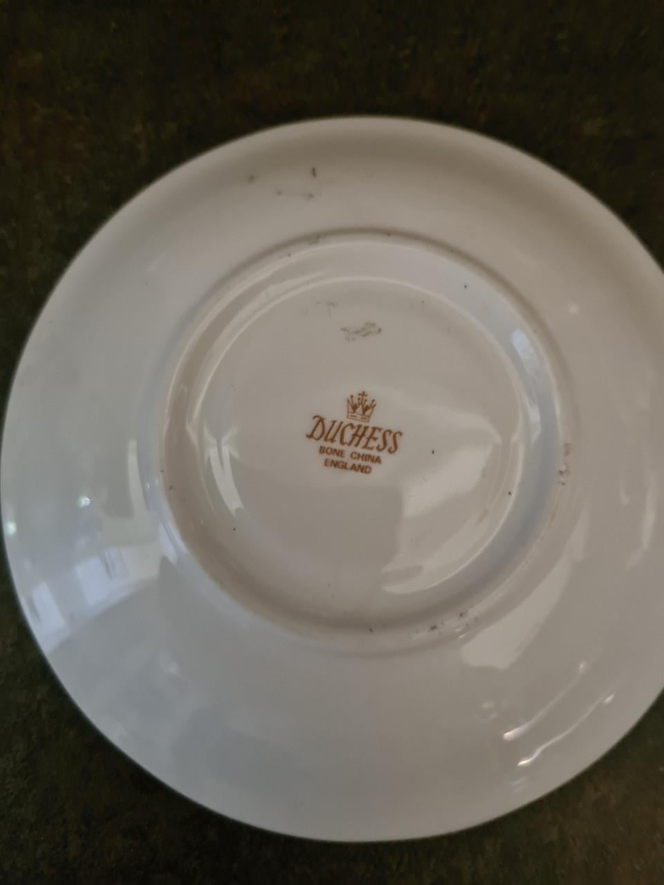 Duchess vintage handbeschilderd porseleinen kop en schotel