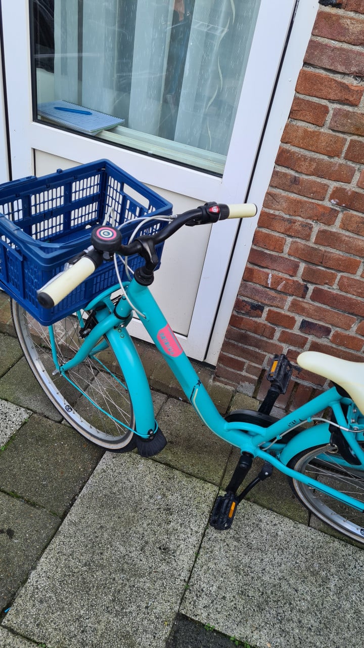 Meisjes fiets BATAVUS met 3 versnellingen-26 inch-trap rem achter