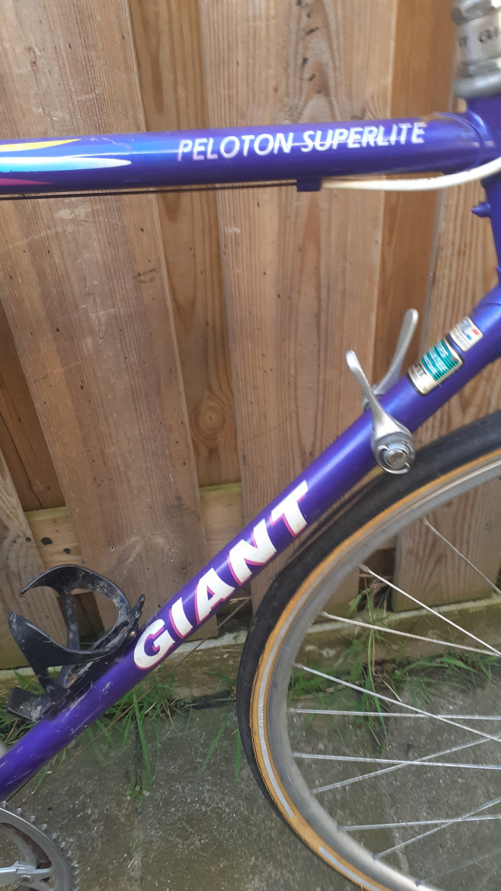 4 x Racefiets GIANT & GAZELLE -XXL &. Motobecane ....& EDDIE-MERKX