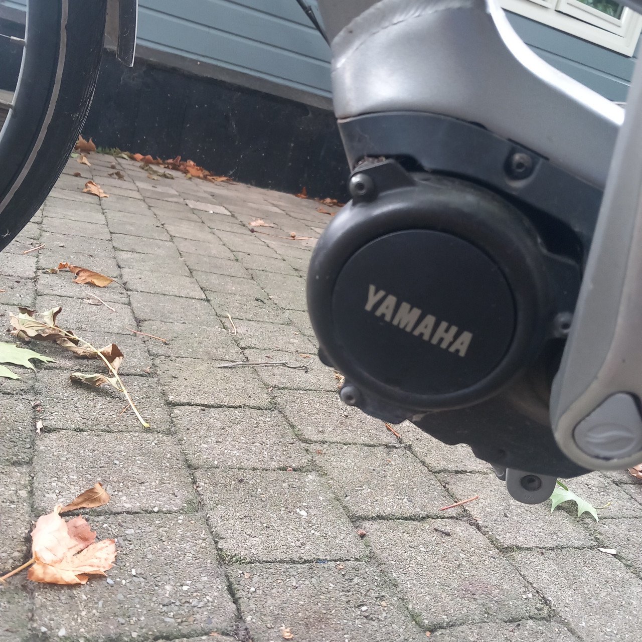 Elektrische damesfiets Giant