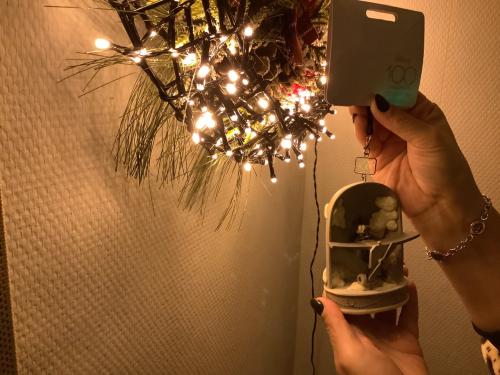 Mooi Disney Mickey Mouse ornament uit Disneyworld Orlando.