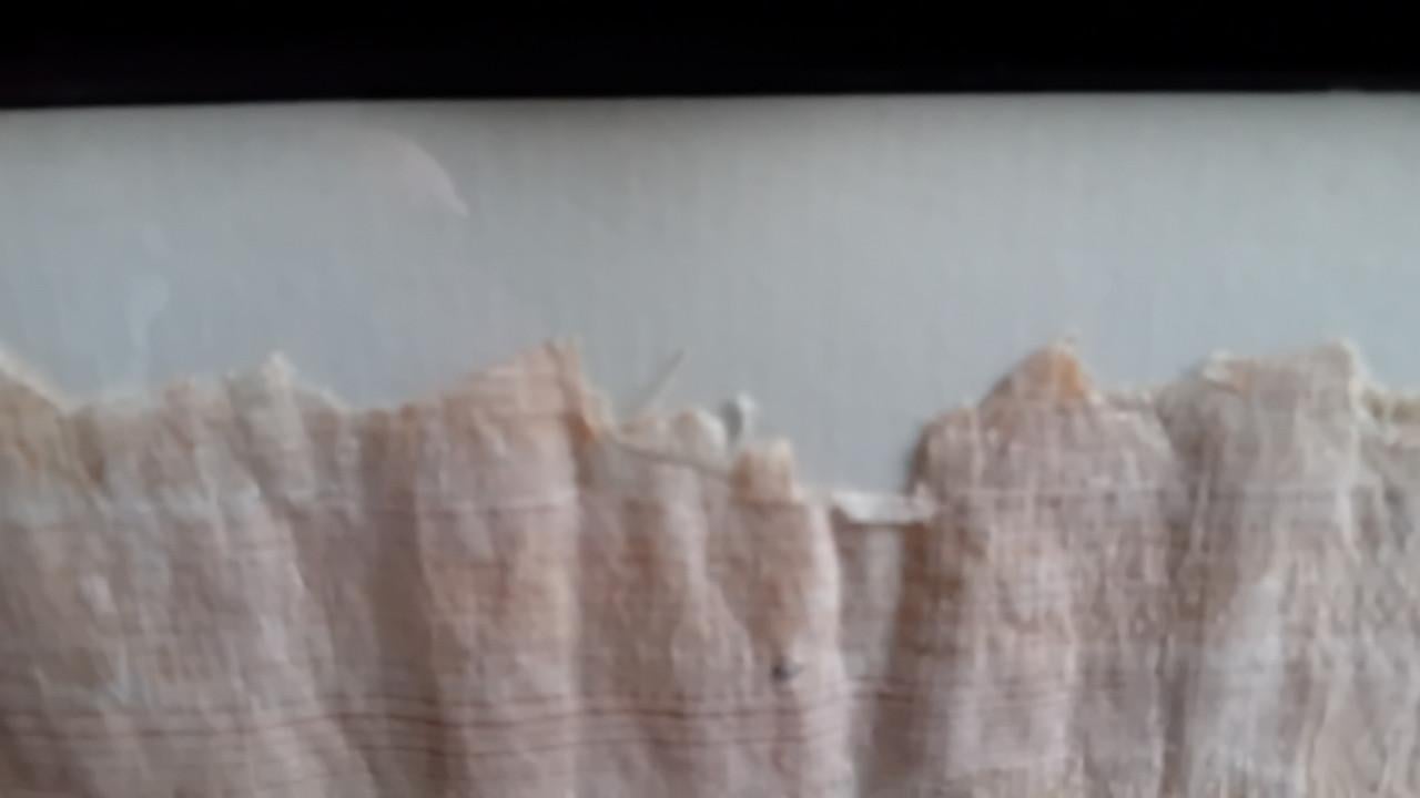 Afbeelding op papyrus