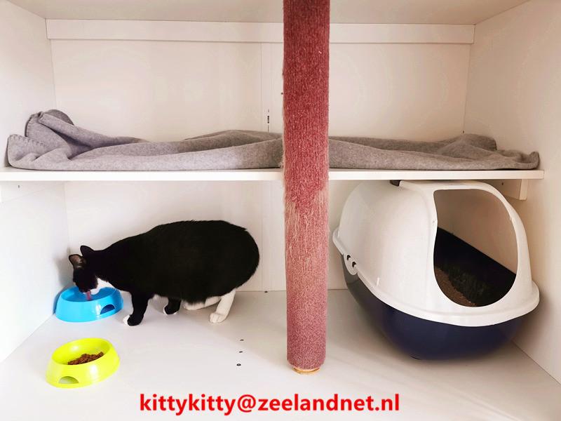 Kattenhotel Kitty Kitty, in Axel