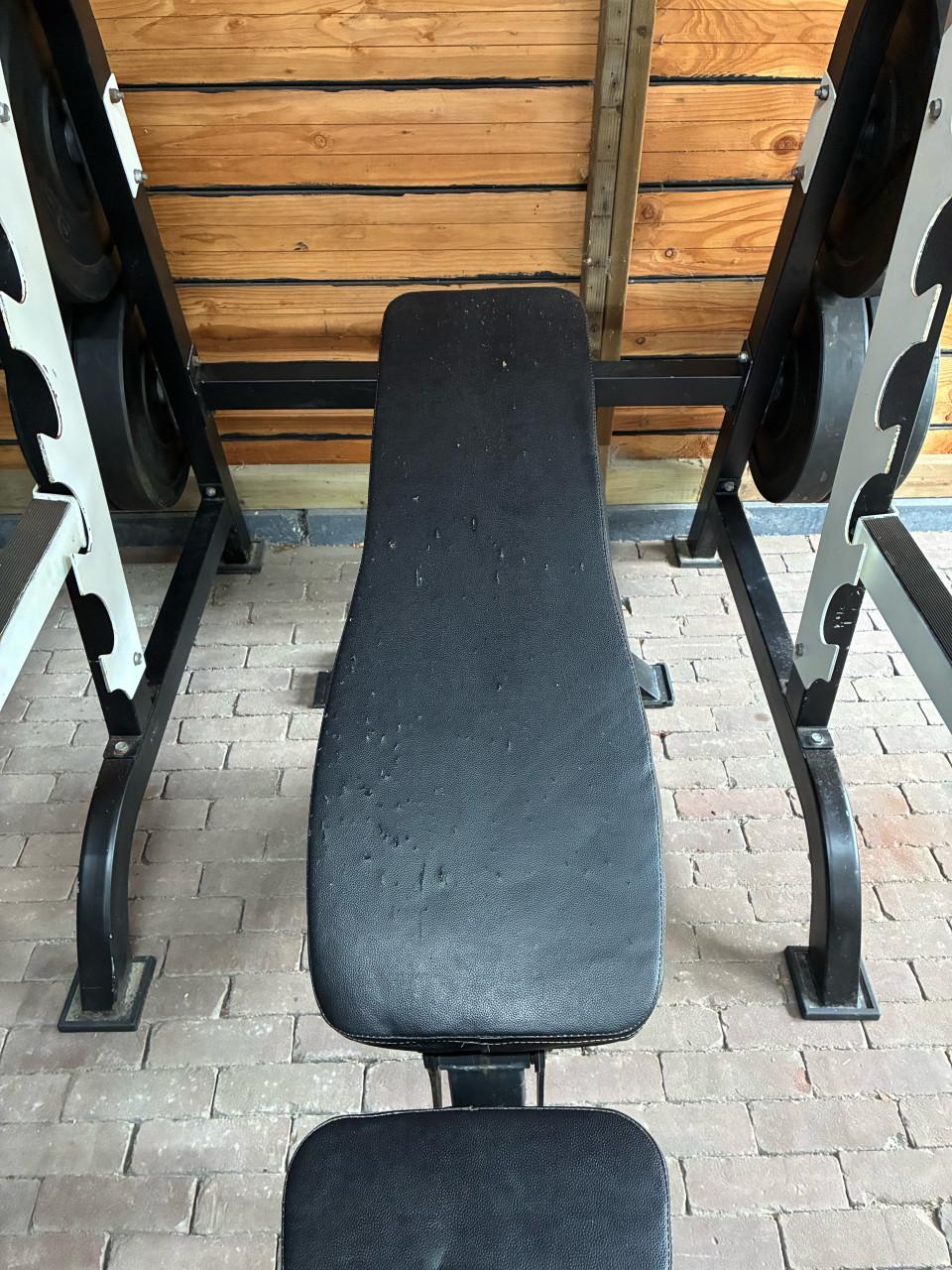 Halsterset (135kg) RAW Fitness