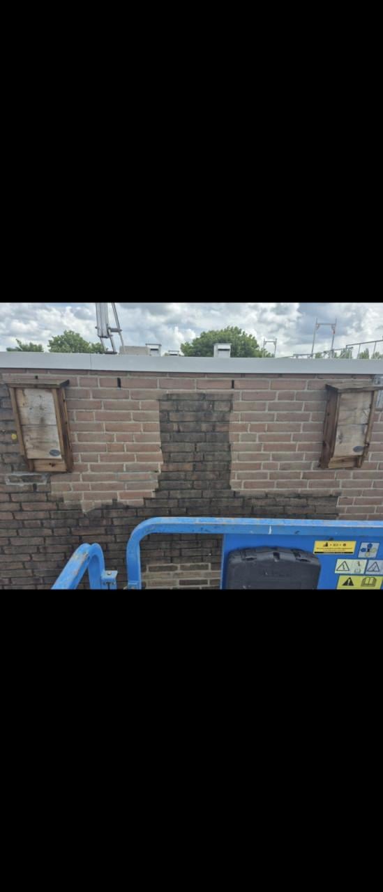 Wilt u professioneel iets laten reinigen of schoonmaken?