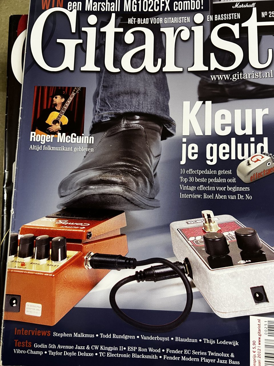 De gitarist