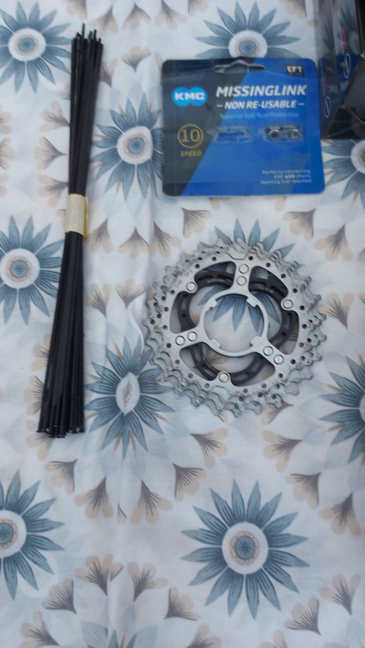 DE ROSA IDOL