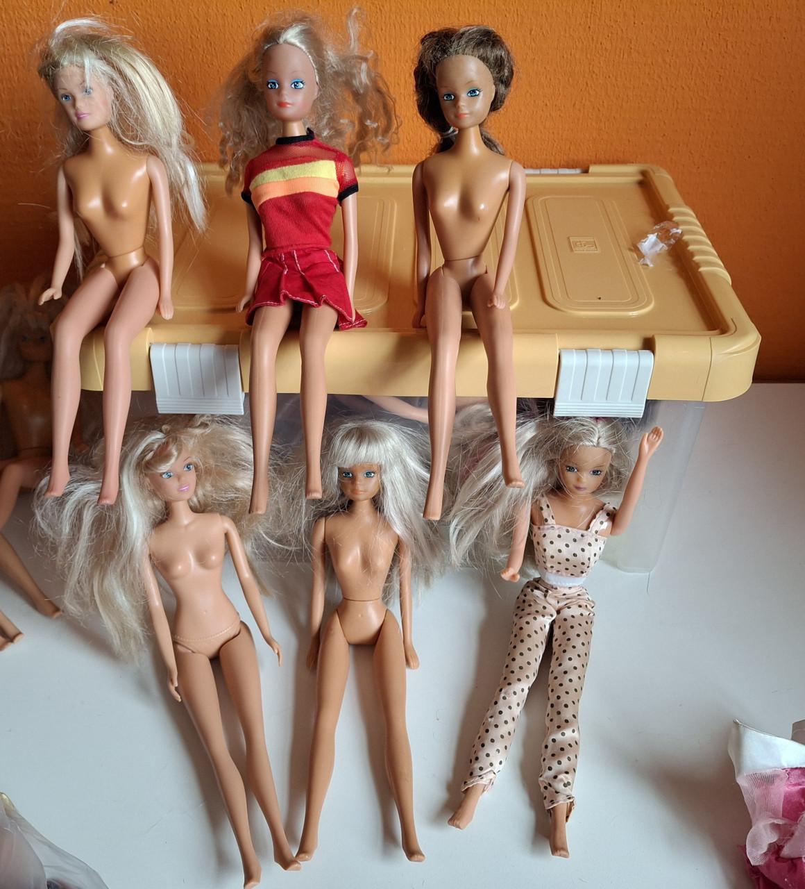 12 Barbies Steffie Love van Simba