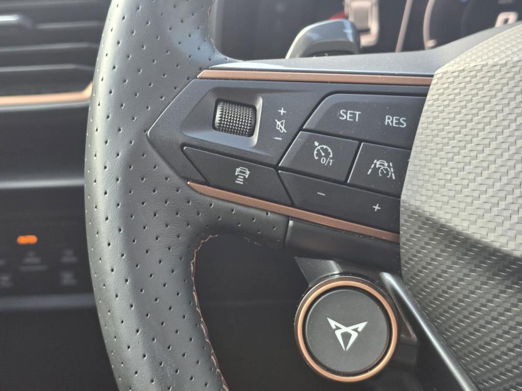 Cupra Formentor 1.4 tsi e-hybrid vz performance tribe edition
