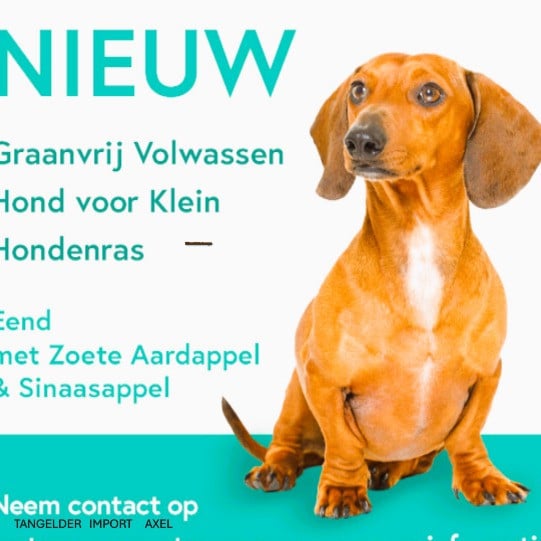 DIERVOEDERS  EN STROOISELS VOOR PAARDEN