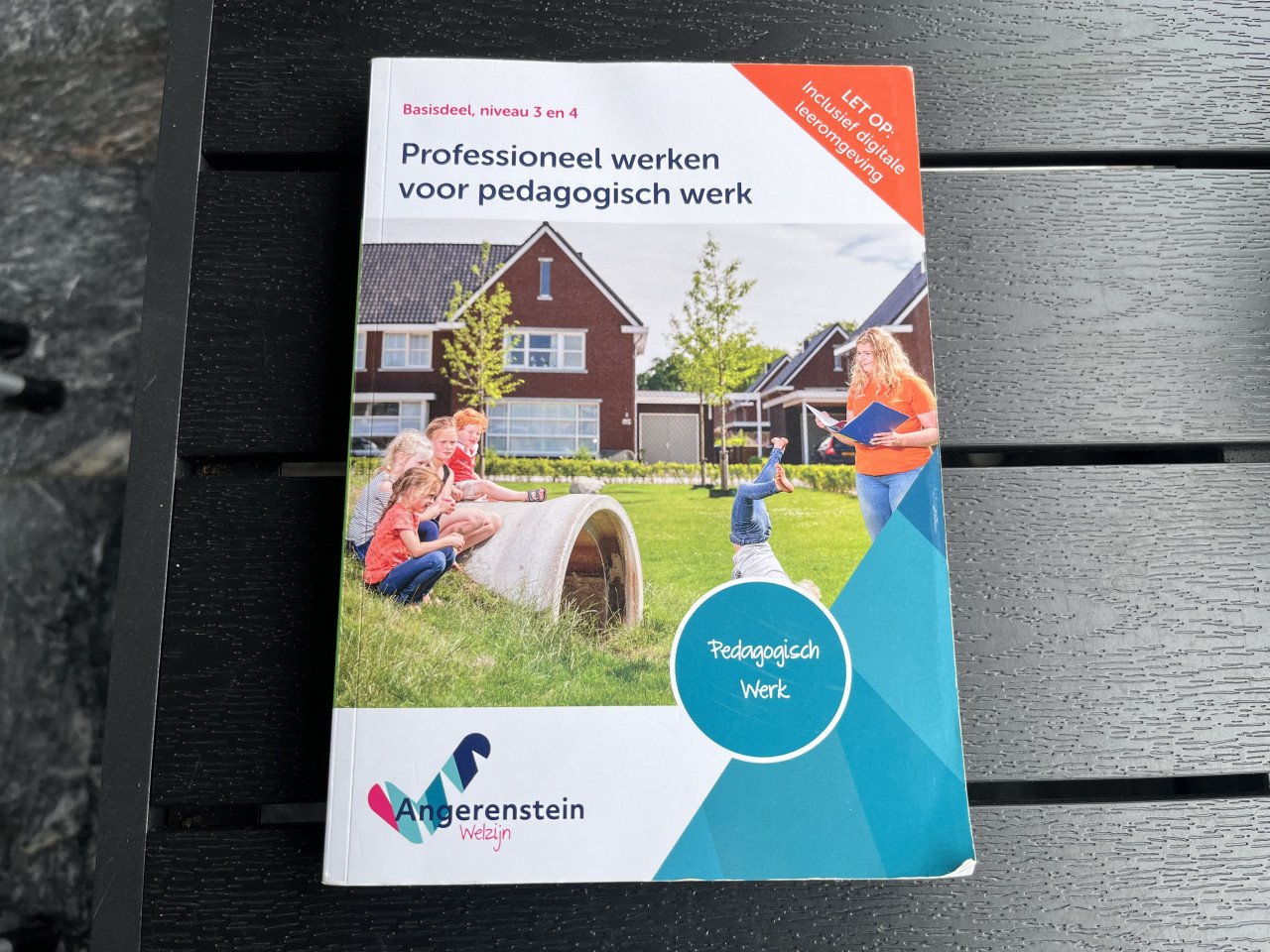 5 Schoolboeken Pedagogisch werk Angerenstein Welzijn