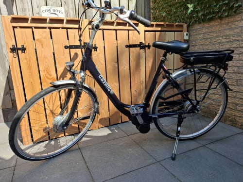 Gazelle electrische fiets en batavus fiets