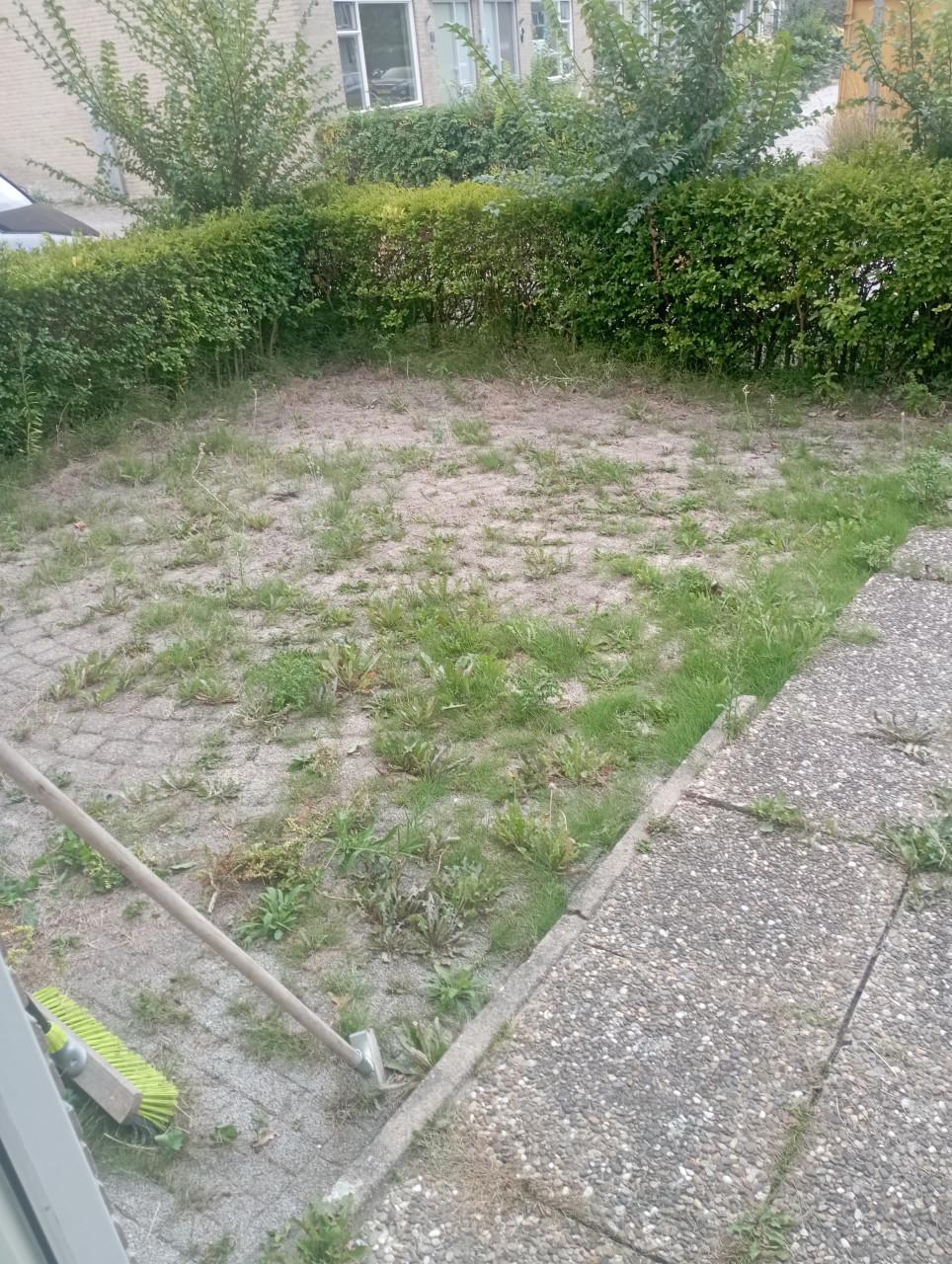 Betaalbare en Betrouwbare tuinman nodig? Beschikbaar!!