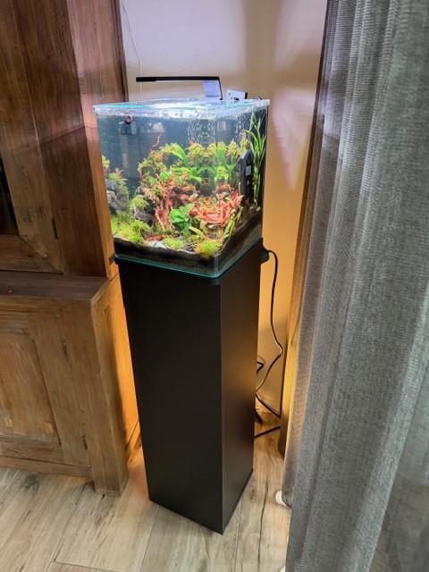 Dennerle Nano 30 set compleet , bijna nieuw!