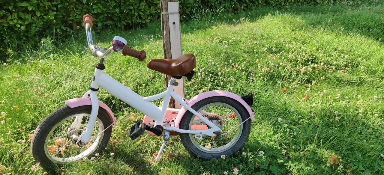 Fietsje 14 inch Popal