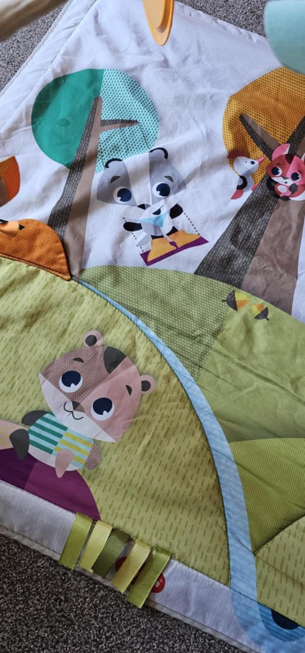 Tiny Love speelkleed met licht en geluid