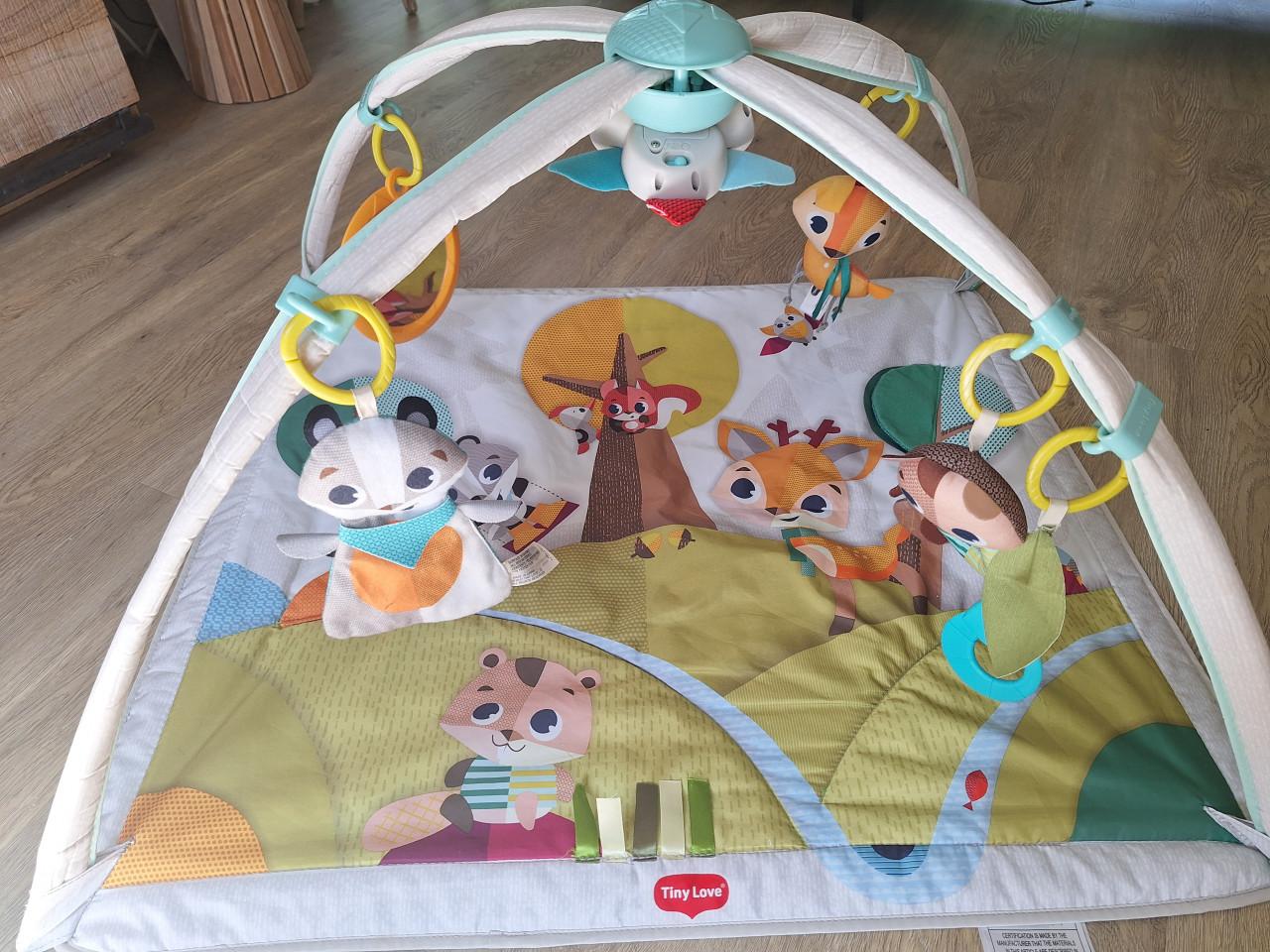 Baby gym