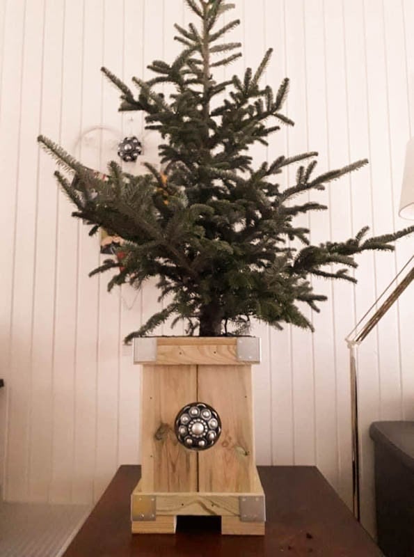 Zeeuwse knop Kerstboombak