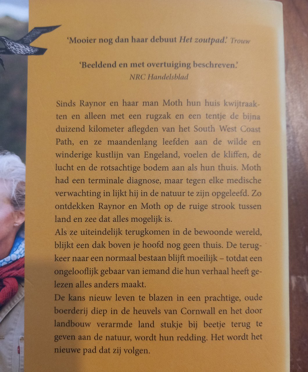 De Wilde Stilte