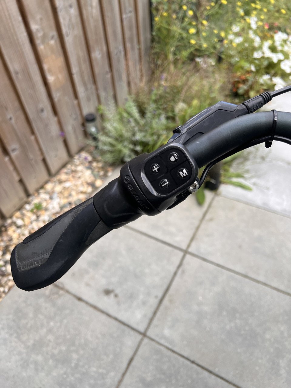 Mooie Giant Entour E+ Elektrische Herenfiets