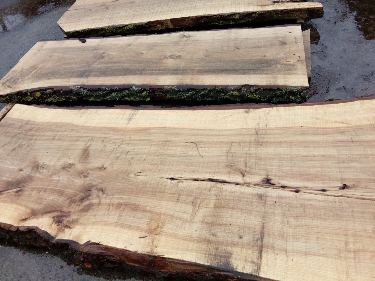 Houten tafels in Boomstamvorm, planken Tafelbladen, decoratie bartafel