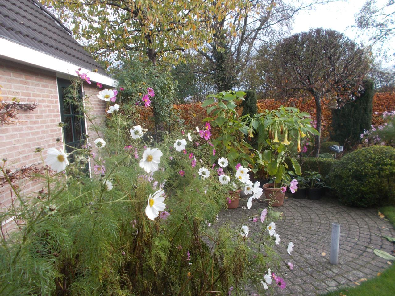 RU RECORDETTE zeemolen