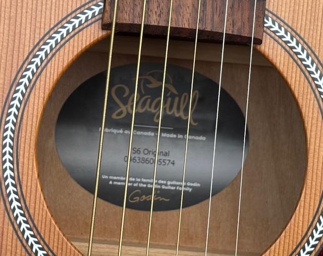 Prachtige gitaar met warme klank.