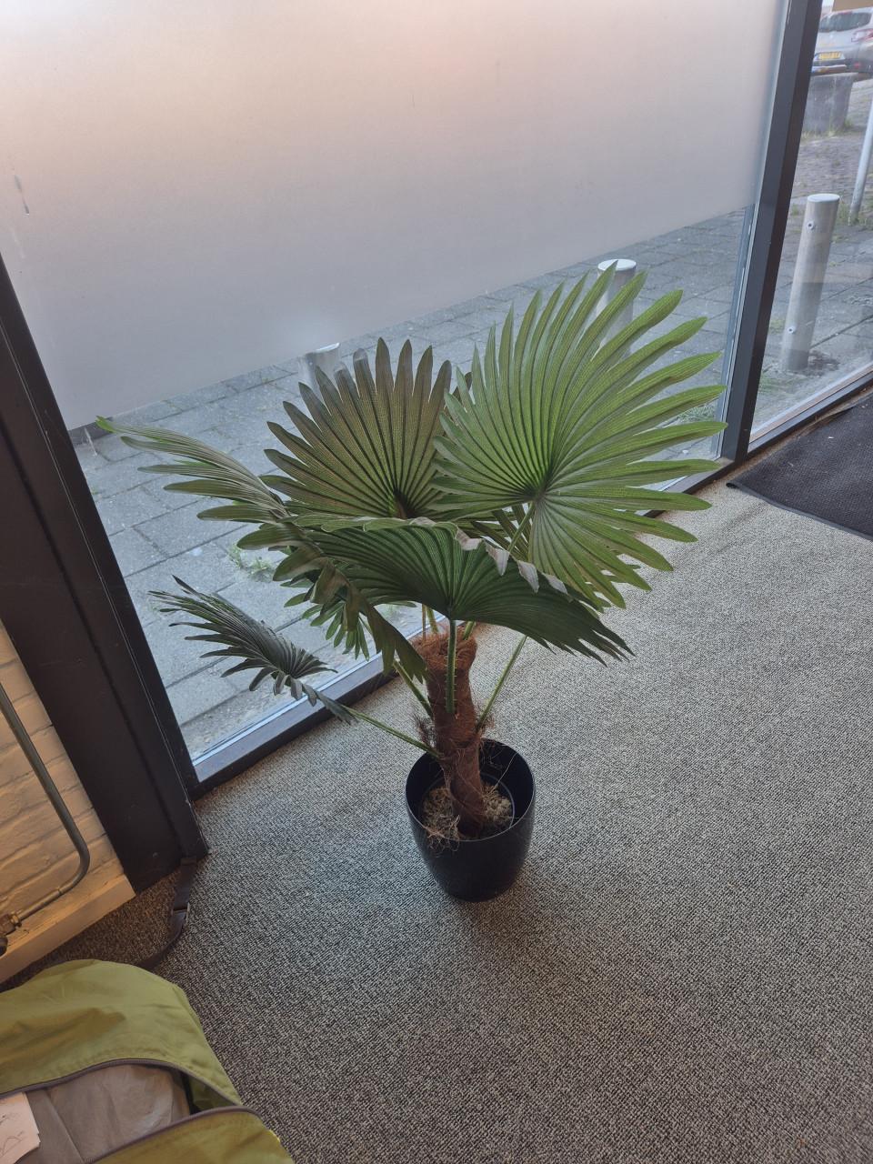 2 x kunstplant