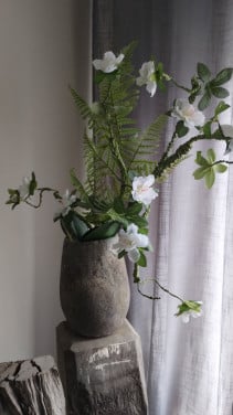 Mooie pot met plant