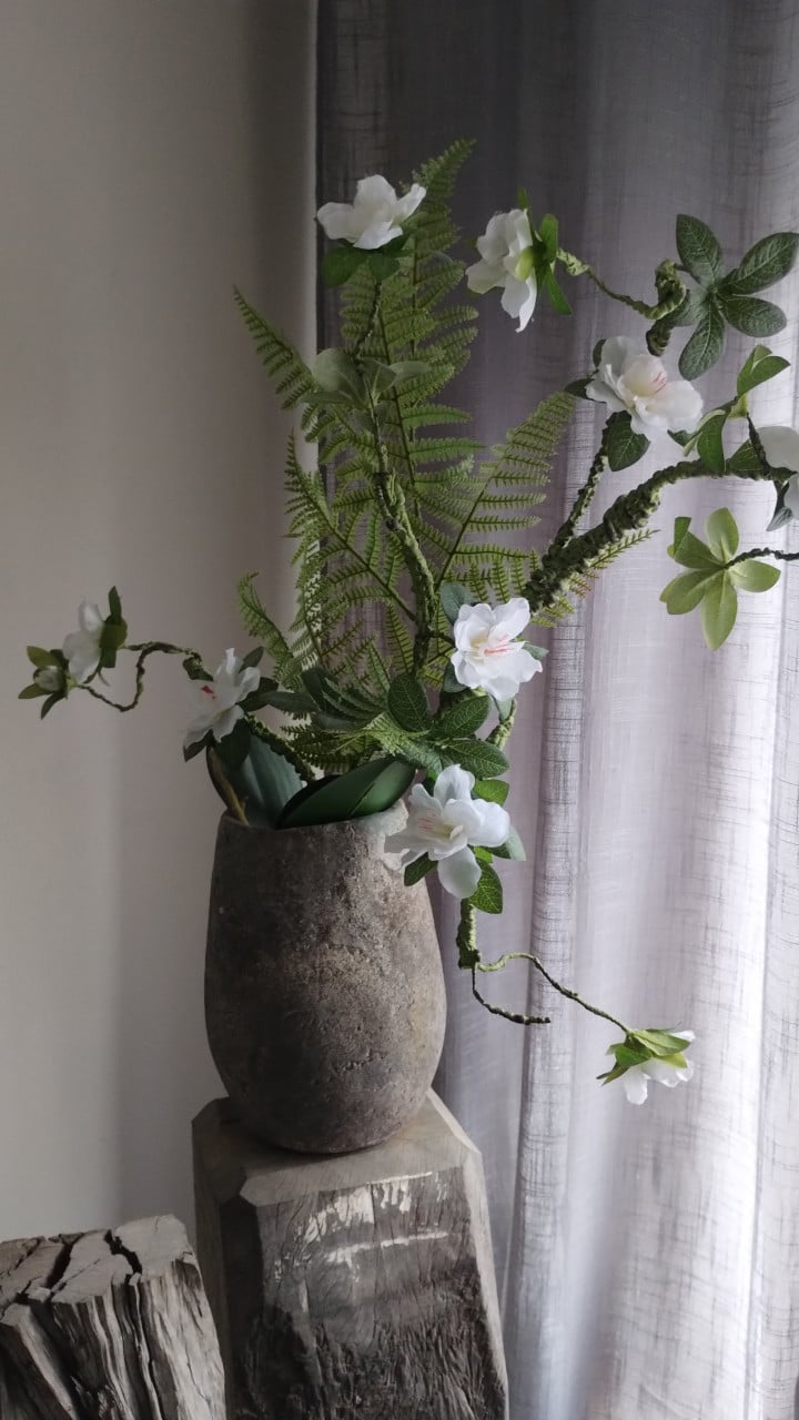 Mooie pot met plant